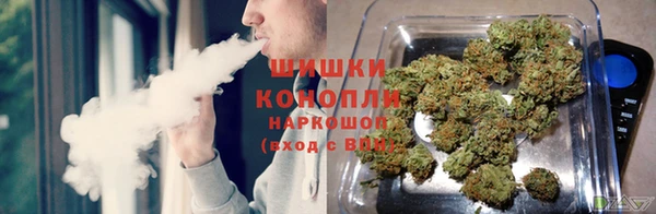 тгк Белокуриха