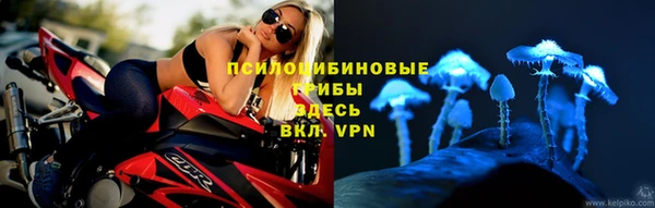 тгк Белокуриха