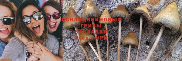 прущая мука Белоозёрский