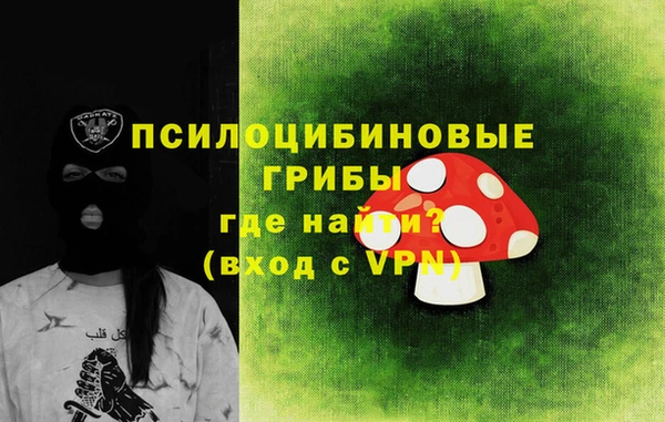 тгк Белокуриха