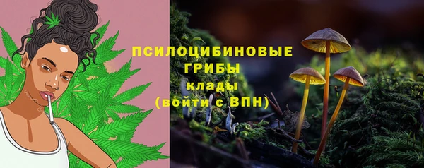 тгк Белокуриха