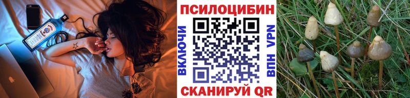 Купить  Мантурово  Псилоцибиновые грибы GOLDEN TEACHER 