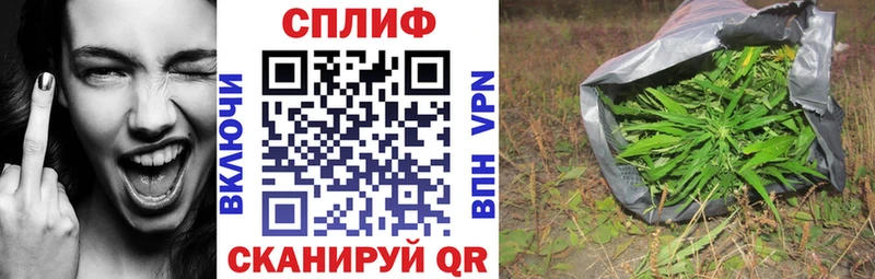 Купить где  Мантурово  Конопля тримм 